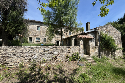 Maison à vendre à SOYANS  - 14 pièces - 600 m² 