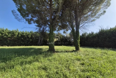 terrain &agrave; vendre &agrave; ST-RÉMY-DE-PROVENCE Domaine Ventre  - 1200 m&sup2; 