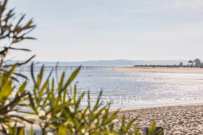 Villa à Lege Cap Ferret &agrave; louer , Photo 4