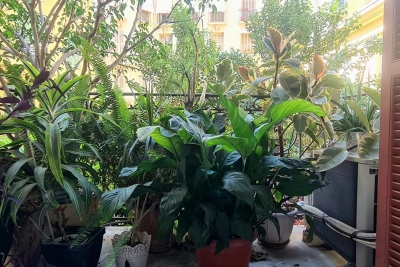 Appartement à vendre à NICE Bischoffsheim - 3 pièces - 71 m² 