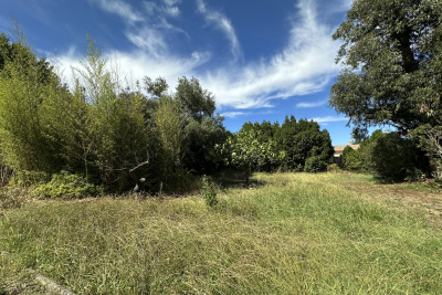 terrain &agrave; vendre &agrave; immobilier SOLLIÈS-PONT   - 773 m&sup2; 