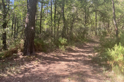 terrain à vendre à PEYNIER Vaufreges-Leon Lachamp  - 5107 m² 