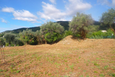 Building plot for sale in VENCE Carabacel  - 1992 m² 