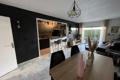 Appartement à vendre terrasse nice nord alpes maritimes 