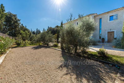 Maison &agrave; vendre maison terrasse vieux village 