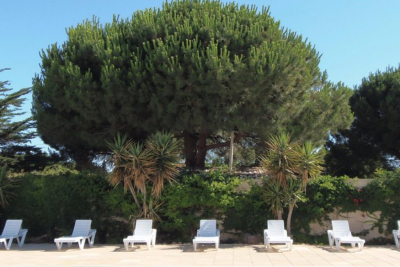 Appartement à vendre à LE CANNET  - 2 pièces - 53 m² 