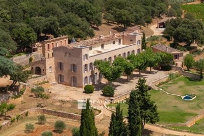 Maison à vendre hectares agricole 