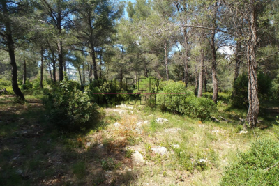 terrain &agrave; vendre foret var 