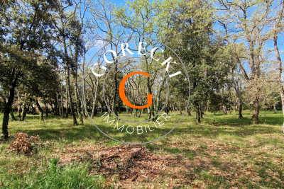 terrain &agrave; vendre &agrave; ST-SIFFRET   - 1200 m&sup2; 