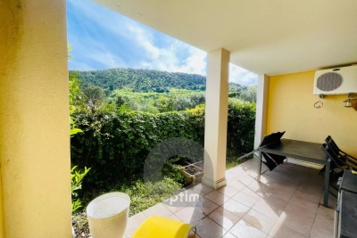 Appartement à vendre appartements a vendre les deux alpes 