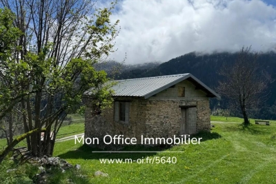 Maison à vendre à LES BELLEVILLE  - 2 pièces - 100 m² 