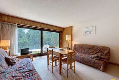 Appartement à vendre à CHAMONIX-MONT-BLANC  - 1 pièces - 29 m² 