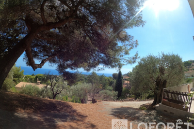 terrain à vendre à ROQUEBRUNE-CAP-MARTIN   - 2931 m² 