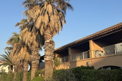 Appartement à vendre à HYÈRES  - 1 pièces - 21 m² 