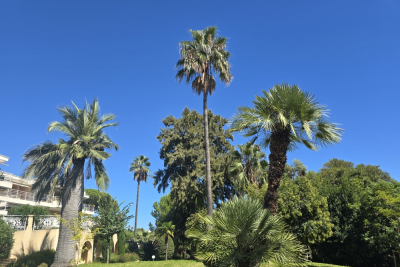 Appartement &agrave; vendre &agrave; ANTIBES Centre - 4 pi&egrave;ces - 109 m&sup2; 