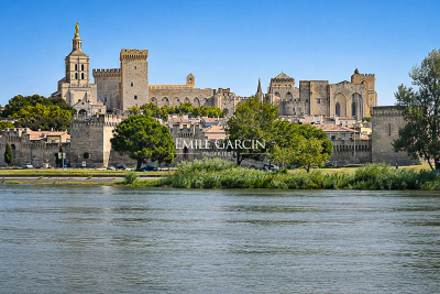 Maison &agrave; vendre &agrave; AVIGNON  - 9 pi&egrave;ces - 250 m&sup2; 