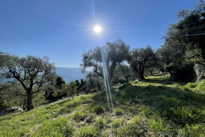 terrain à vendre terrain non constructible