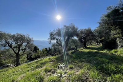terrain &agrave; vendre &agrave; CHATEAUNEUF-VILLEVIEILLE   - 1950 m&sup2; 