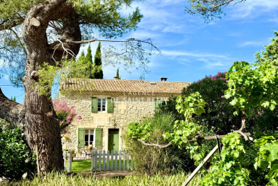 Maison à vendre à ST-ÉTIENNE-DU-GRÈS La Jarre-Roy d'Espagne - 6 pièces - 165 m² 