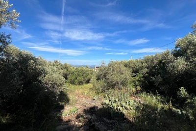 terrain &agrave; vendre &agrave; LA CIOTAT   - 617 m&sup2; 