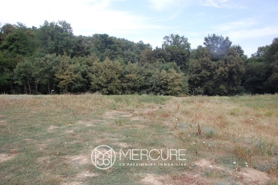 terrain à vendre à immobilier BALMA   - 2289 m² 