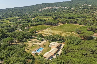 Maison à vendre à RAMATUELLE  - 6 pièces - 200 m² 