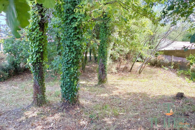 terrain à vendre terrains tremblade 