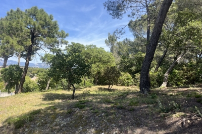 terrain à vendre la re