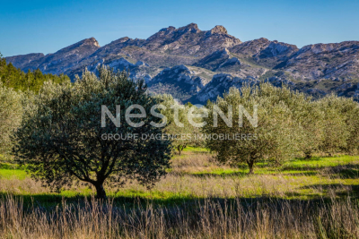 Commerce à vendre à ST-RÉMY-DE-PROVENCE   - 65 m² 