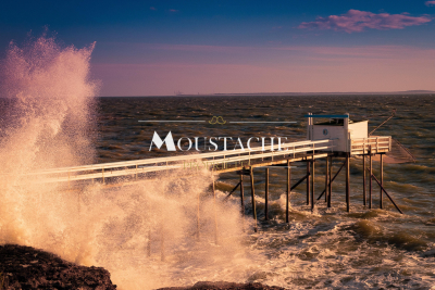 terrain à vendre à ST PALAIS SUR MER Marsilly  - 1137 m² 