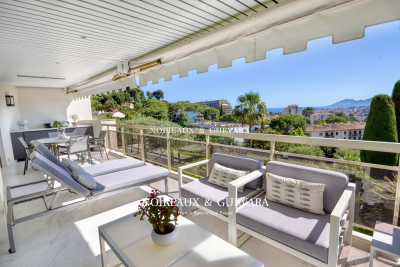 Appartement à vendre vue imprenable cannes