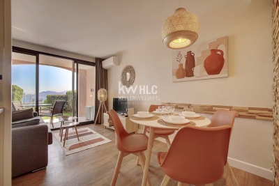 Appartement à vendre lumineux terrasse cannes