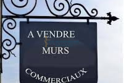 Commerce &agrave; vendre &agrave; LE BOSC   - 150 m&sup2; 