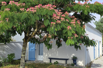 Maison à vendre à ST PALAIS SUR MER La Genette Le Mail - 3 pièces - 60 m² 