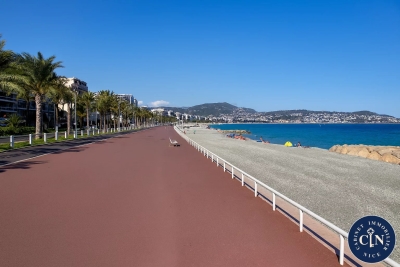 Appartement à vendre plein pied nice le cours 