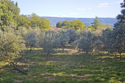 Building plot for sale in GORDES    