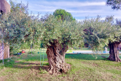 Maison à vendre à MONTFRIN  - 1 pièces - 70 m² 