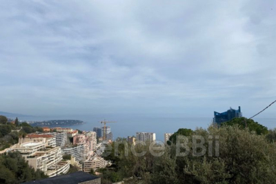 terrain &agrave; vendre tour alpes maritimes 