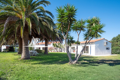 Maison à vendre à Perpignan  - 7 pièces 256 m² 