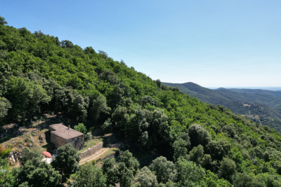 Bien à vendre à ST-ROMAN-DE-CODIERES Jean Jaurès Nord - 1 pièces - 25 m² 