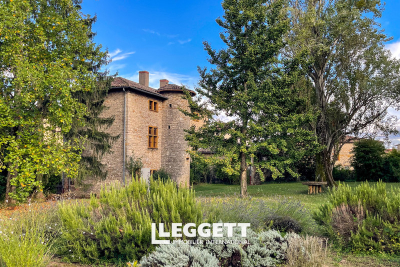 Maison à vendre à MORANCE Domer - 10 pièces - 323 m² 