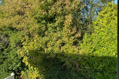 Maison à vendre villa garage rouen 