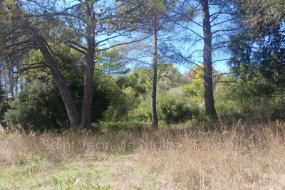 terrain à vendre à BELCODENE   - 4000 m² 