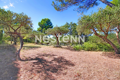 terrain à vendre cabanon terrain var 