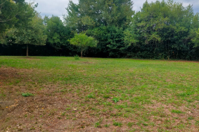 terrain à vendre à ST-GENES-DE-FRONSAC   - 1300 m² 