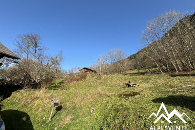 terrain à vendre immobilier thonon bains 