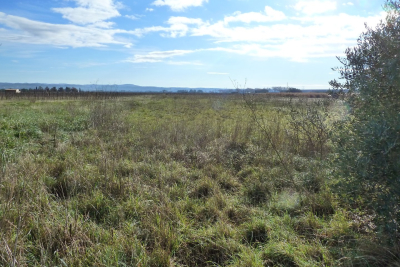 terrain &agrave; vendre &agrave; immobilier BRIGNAC   - 4795 m&sup2; 