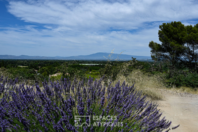 terrain à vendre terrains levant