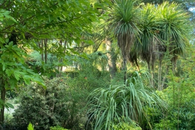 Maison à vendre à GRAVESON Mathurin-Timone - 3 pièces - 80 m² 