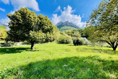 terrain à vendre à BUIS LES BARONNIES   - 977 m² 